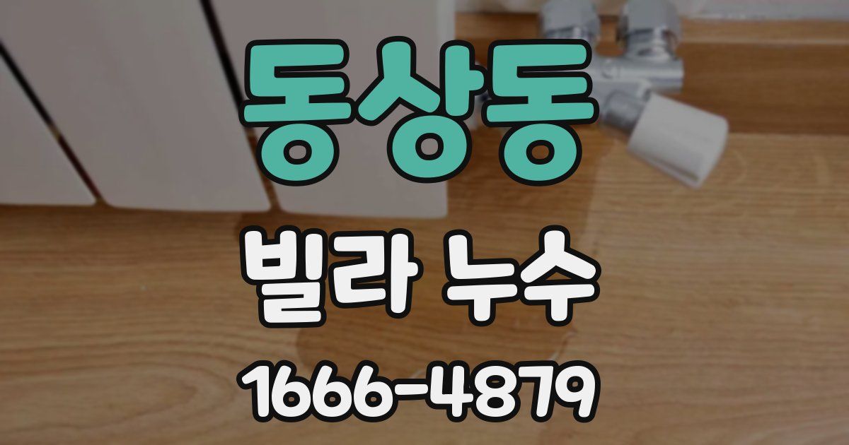 동상동 빌라 누수