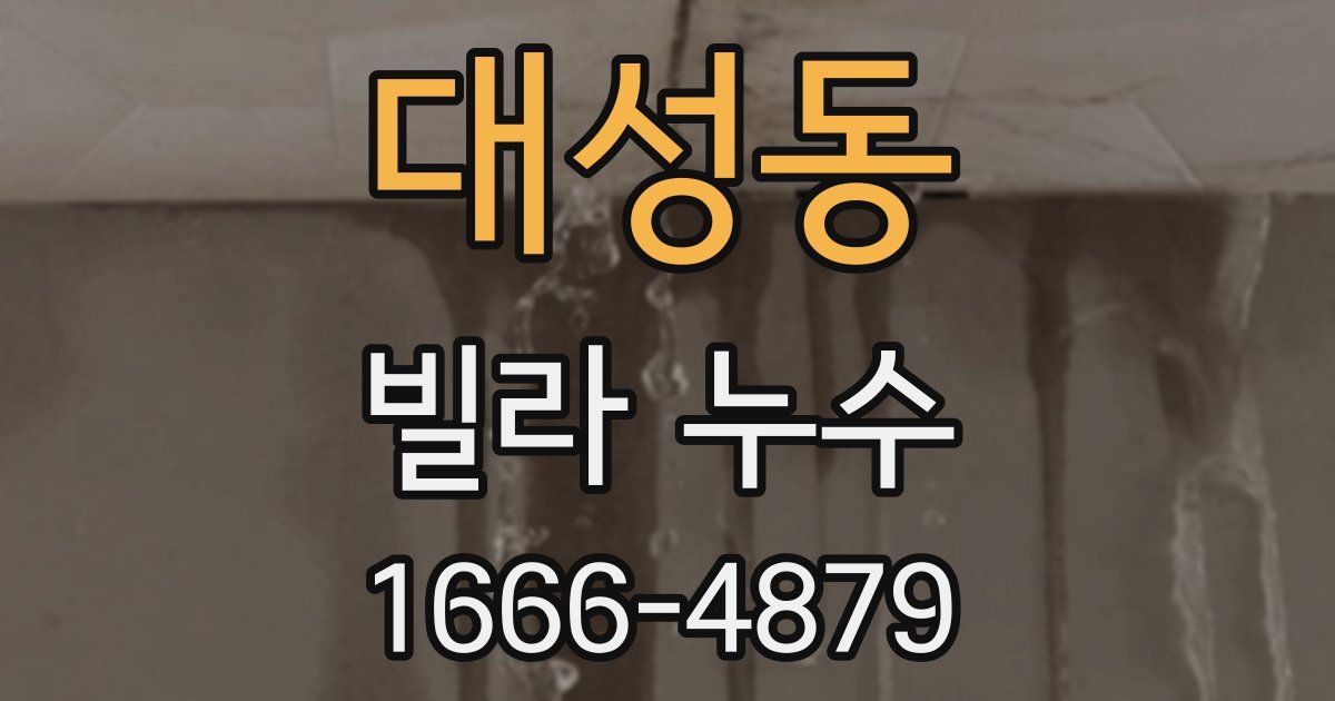 대성동 빌라 누수