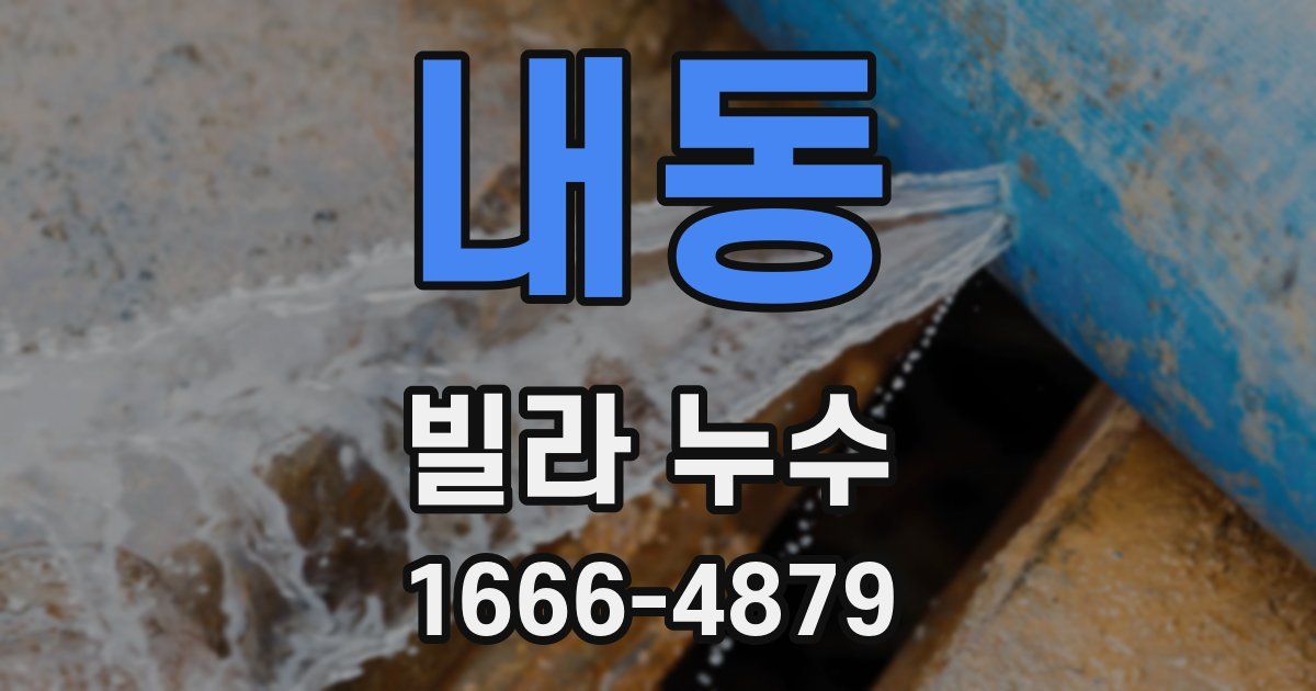 내동 빌라 누수