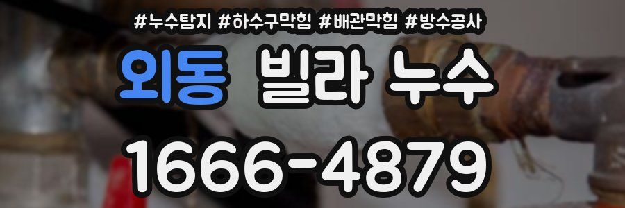 외동 빌라 누수