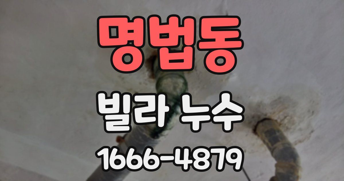 명법동 빌라 누수