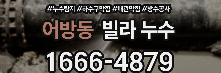 어방동 빌라 누수