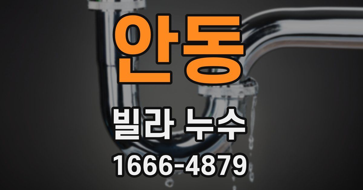 안동 빌라 누수