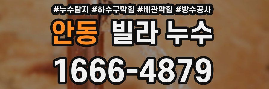 안동 빌라 누수