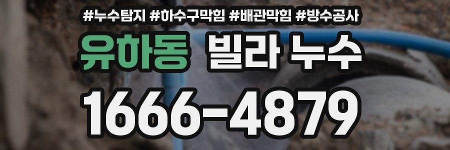 유하동 빌라 누수