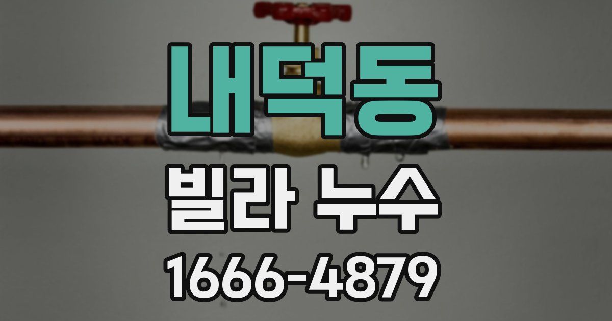 내덕동 빌라 누수