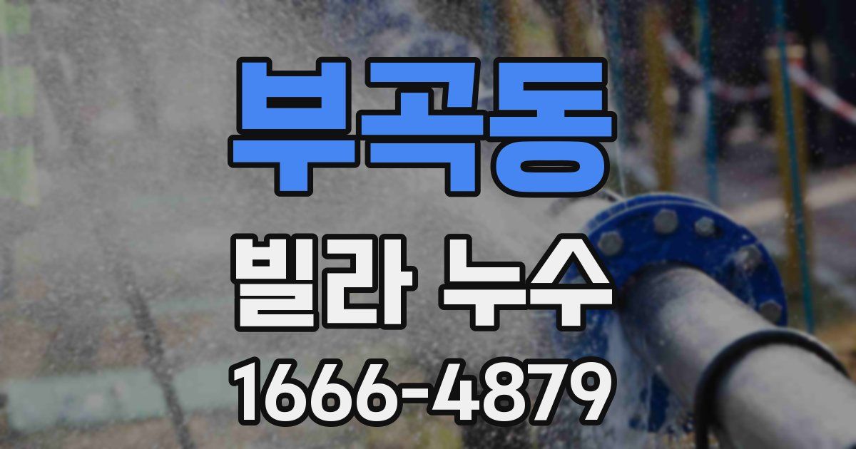 부곡동 빌라 누수