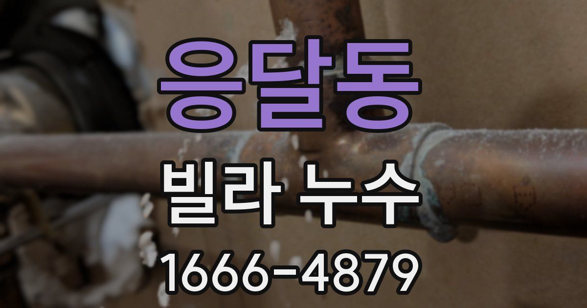 응달동 빌라 누수