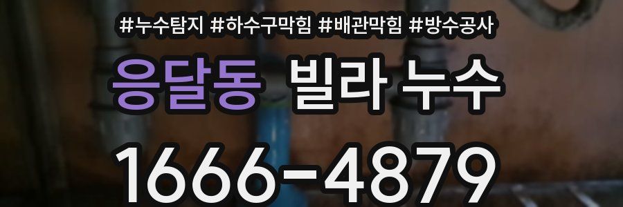 응달동 빌라 누수