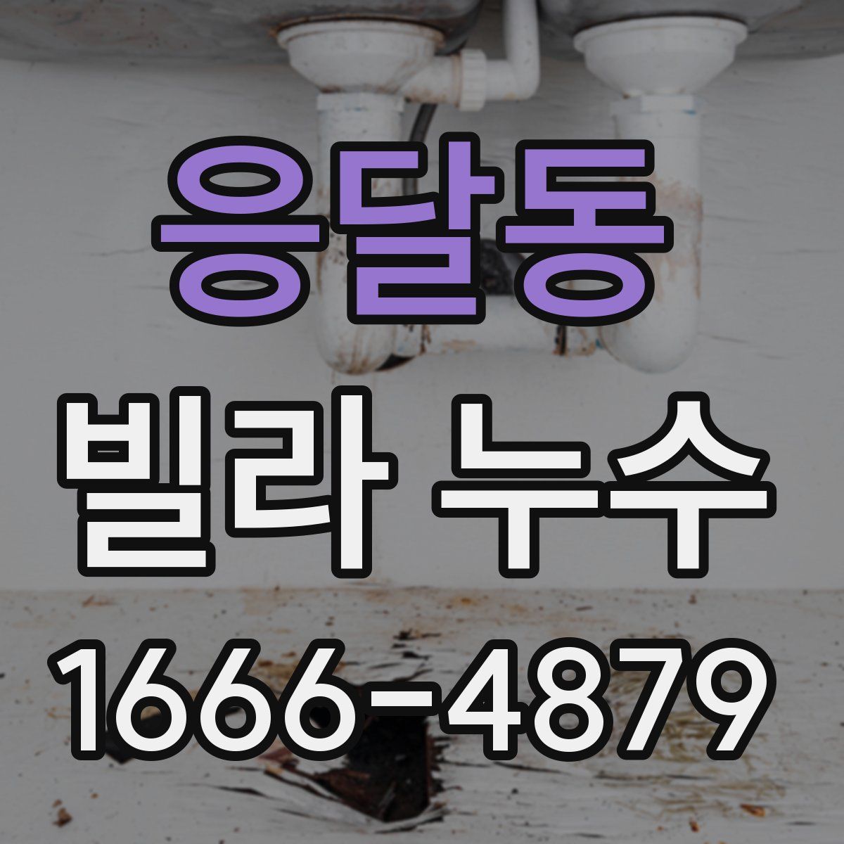 응달동 빌라 누수