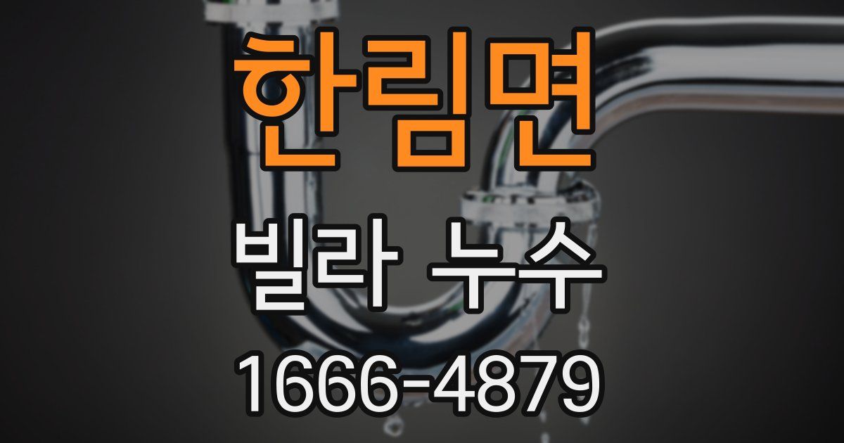 한림면 빌라 누수