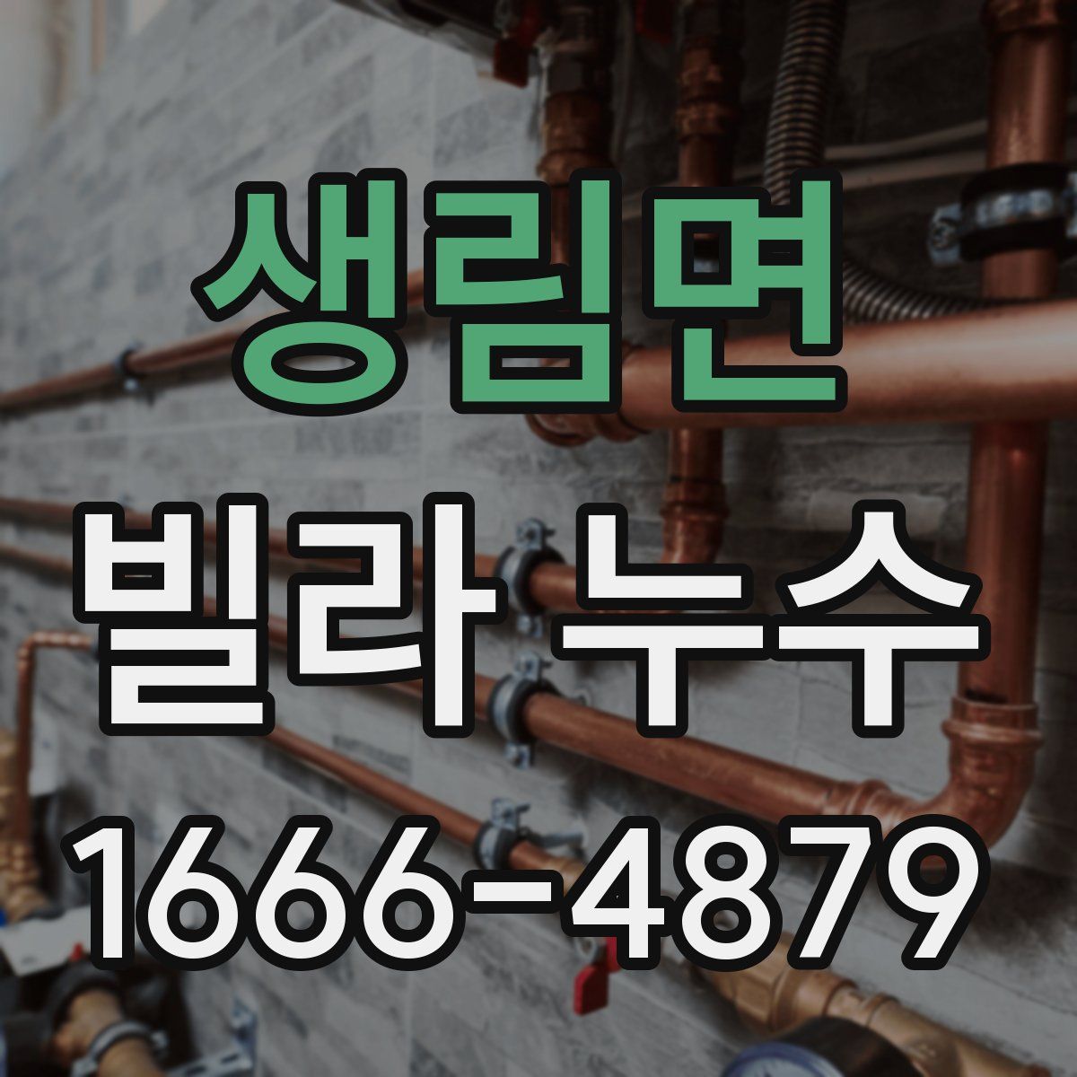 생림면 빌라 누수