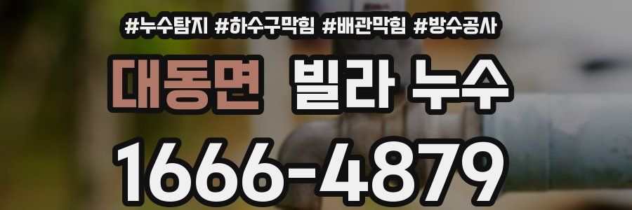 대동면 빌라 누수