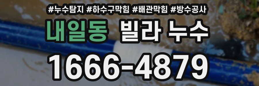 내일동 빌라 누수