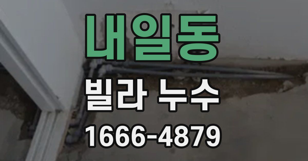 내일동 빌라 누수