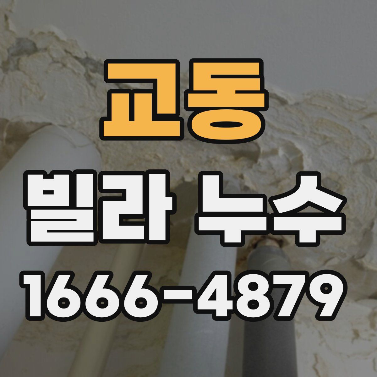 교동 빌라 누수