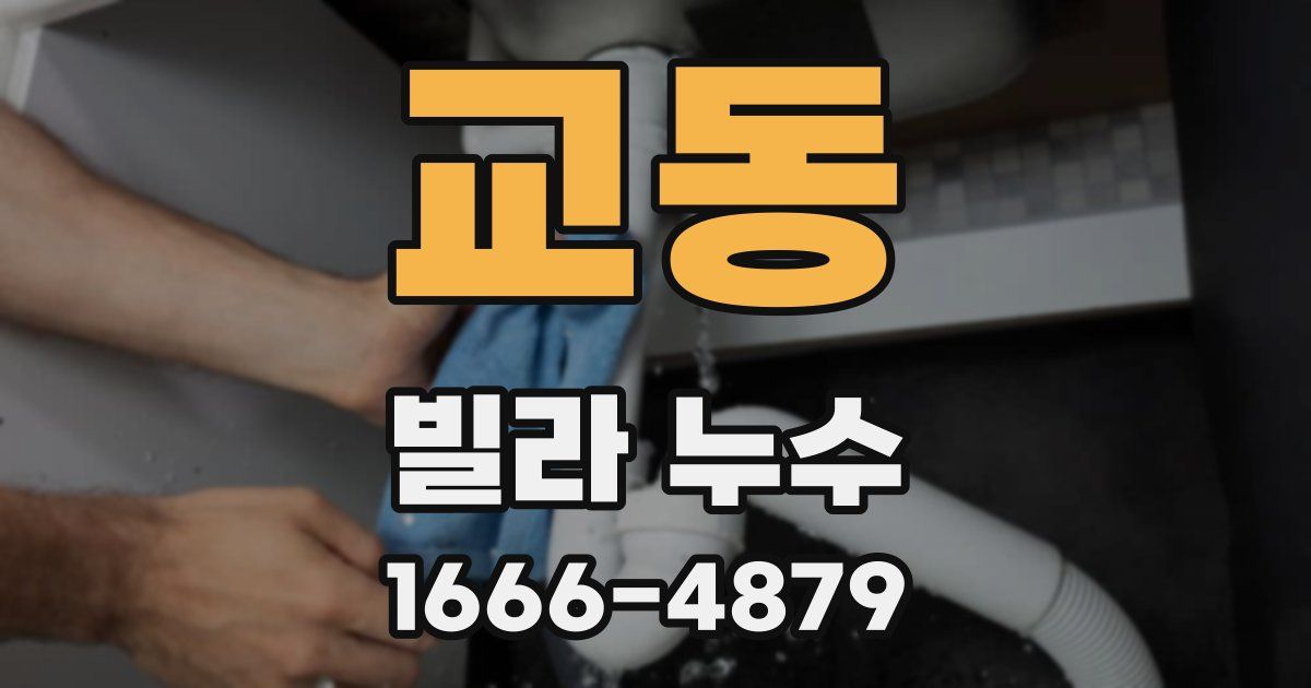 교동 빌라 누수
