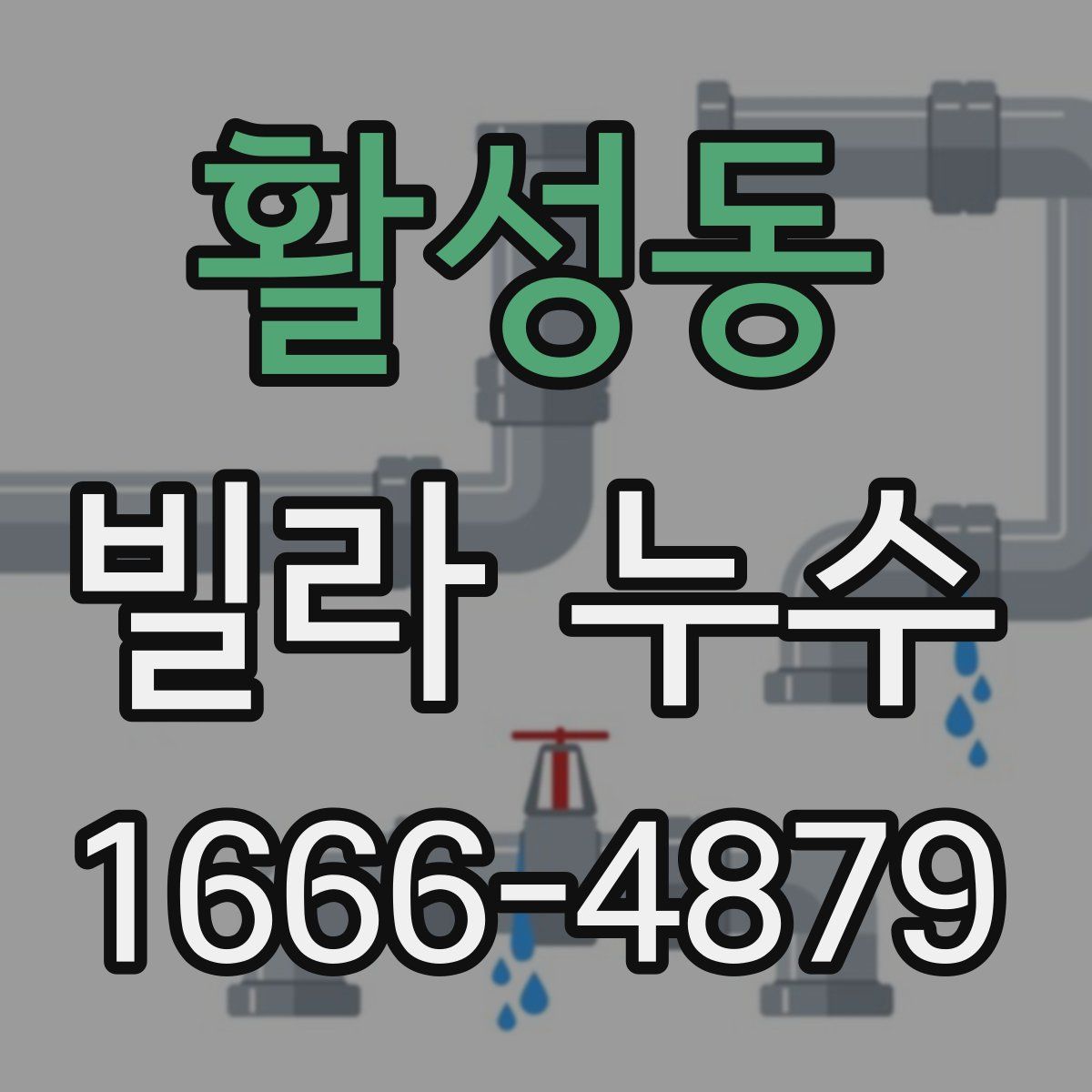 활성동 빌라 누수