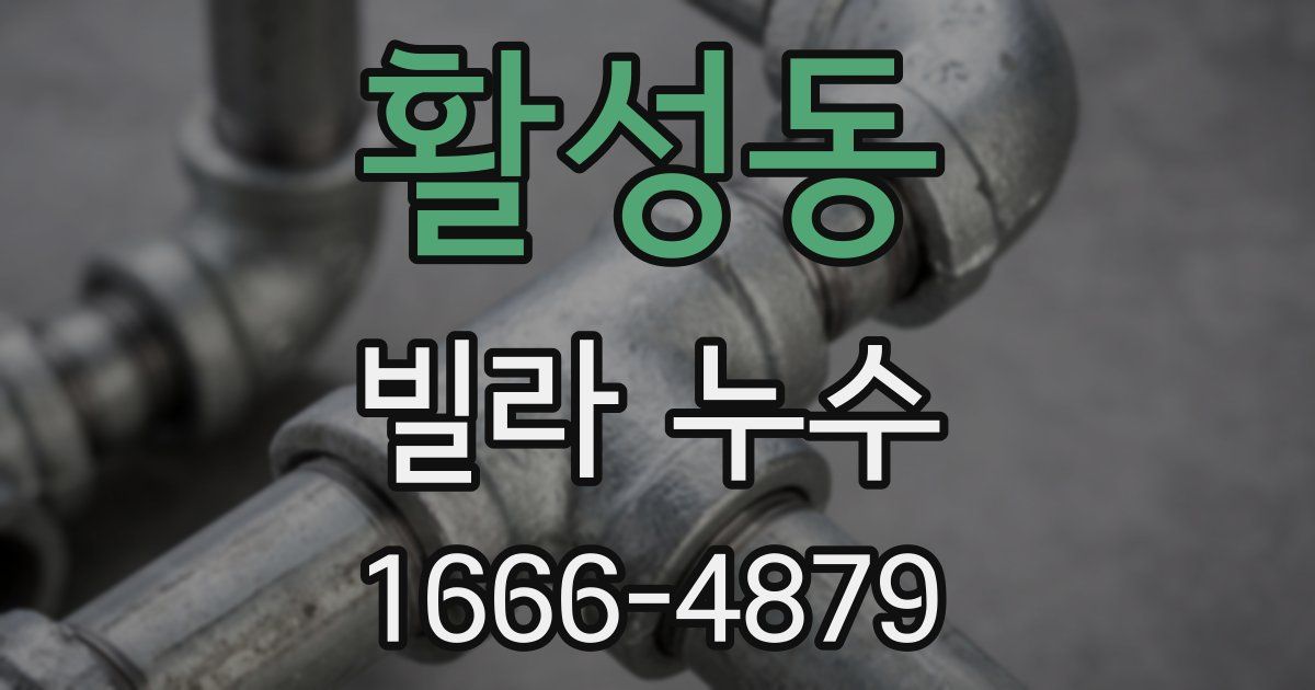 활성동 빌라 누수