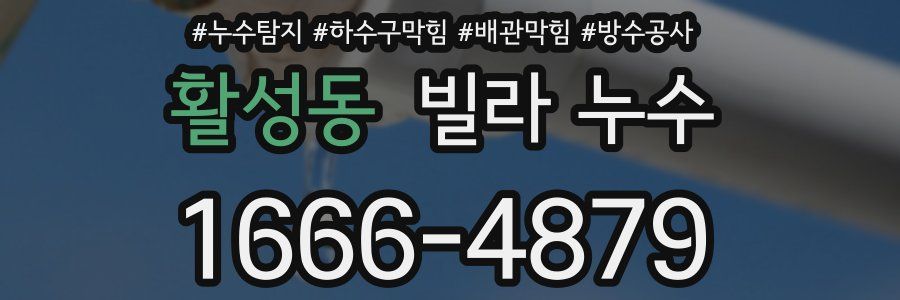 활성동 빌라 누수