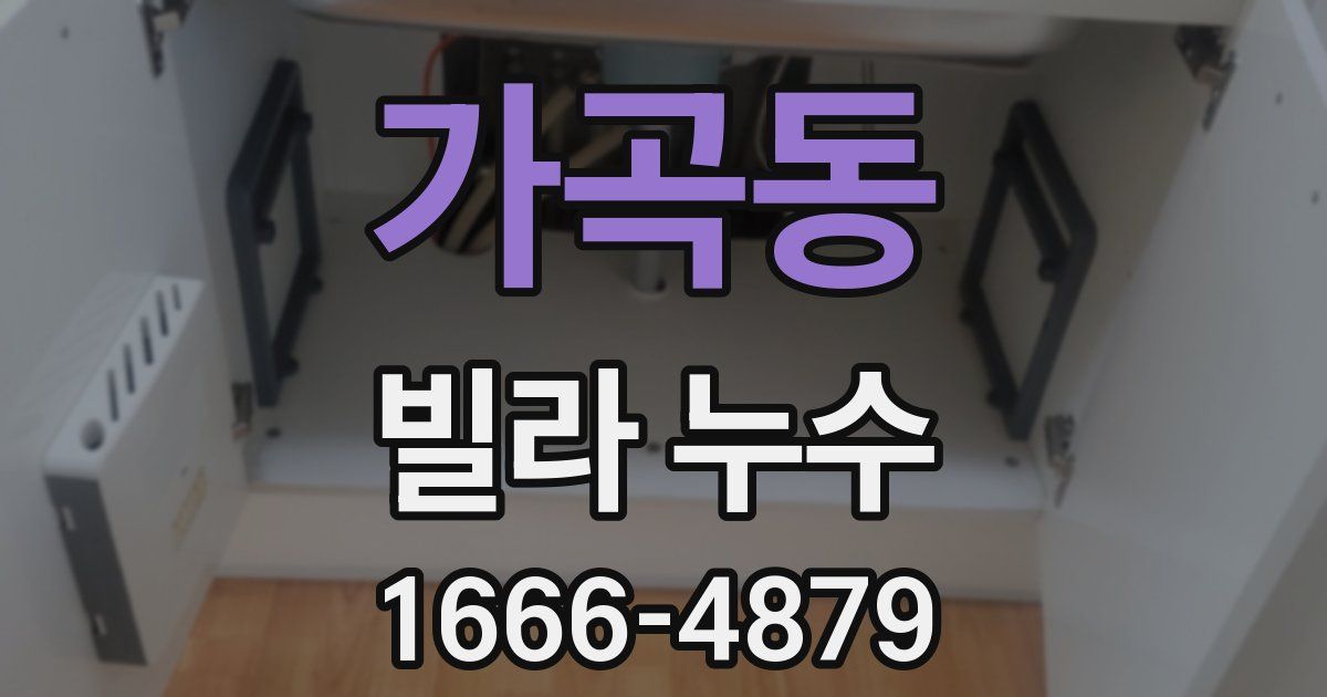 가곡동 빌라 누수