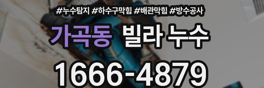가곡동 빌라 누수