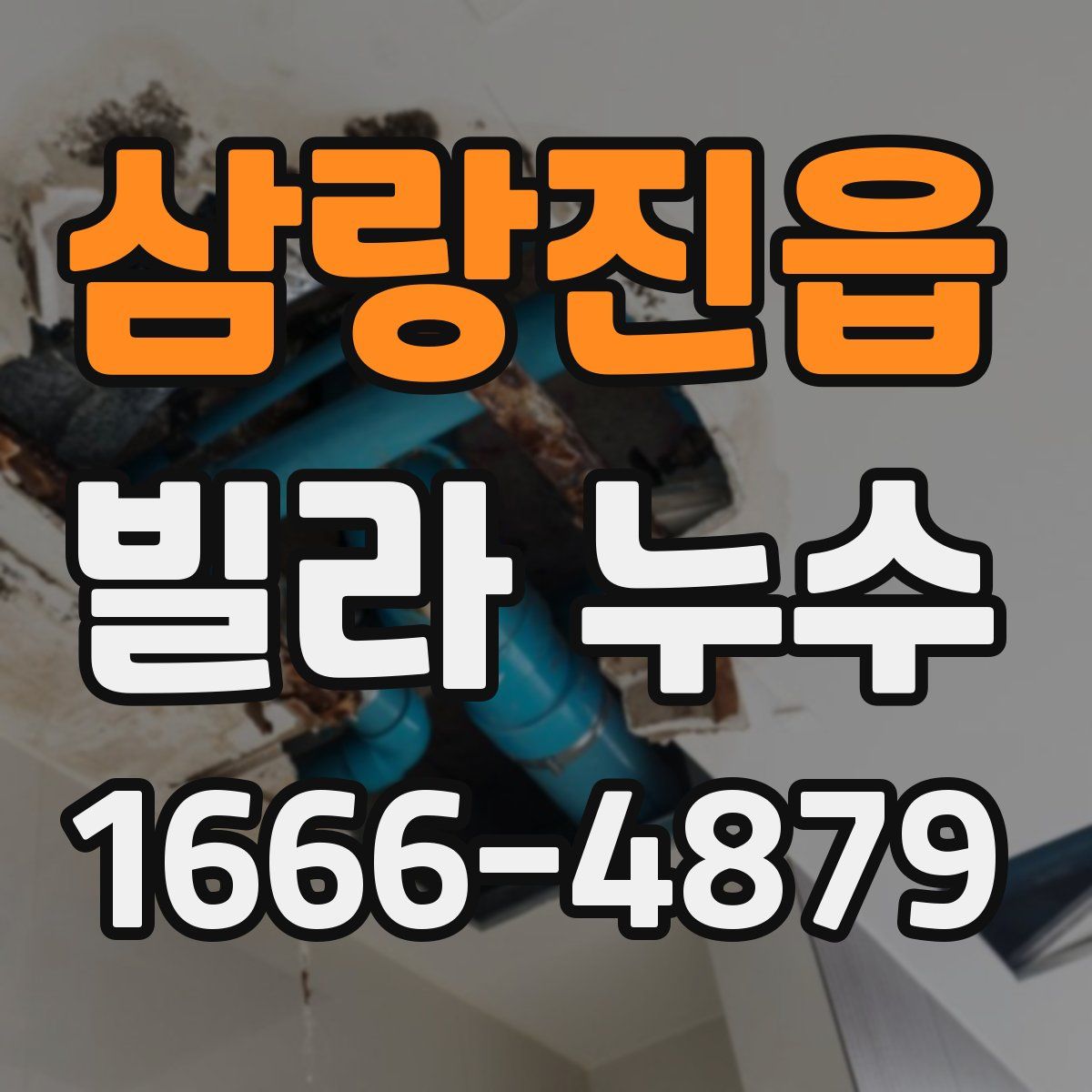 삼랑진읍 빌라 누수