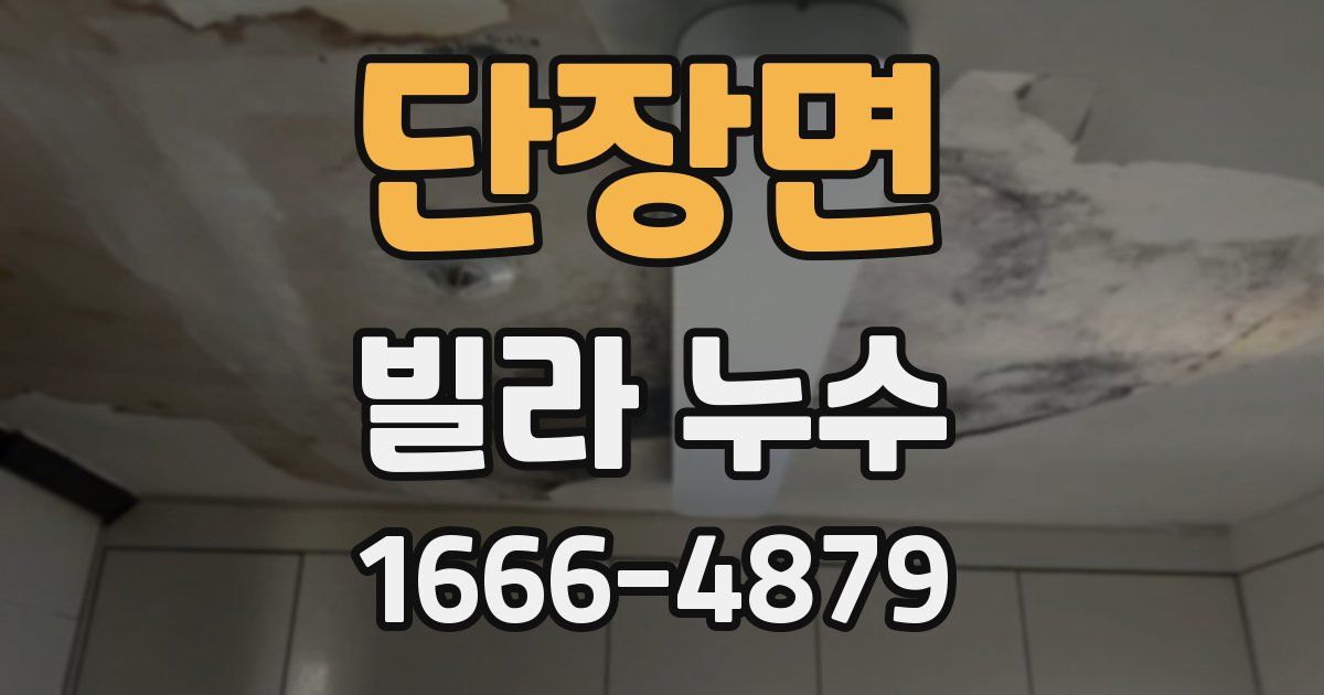 단장면 빌라 누수