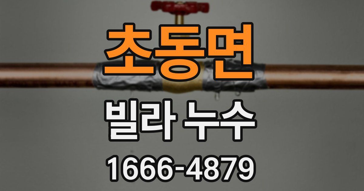 초동면 빌라 누수