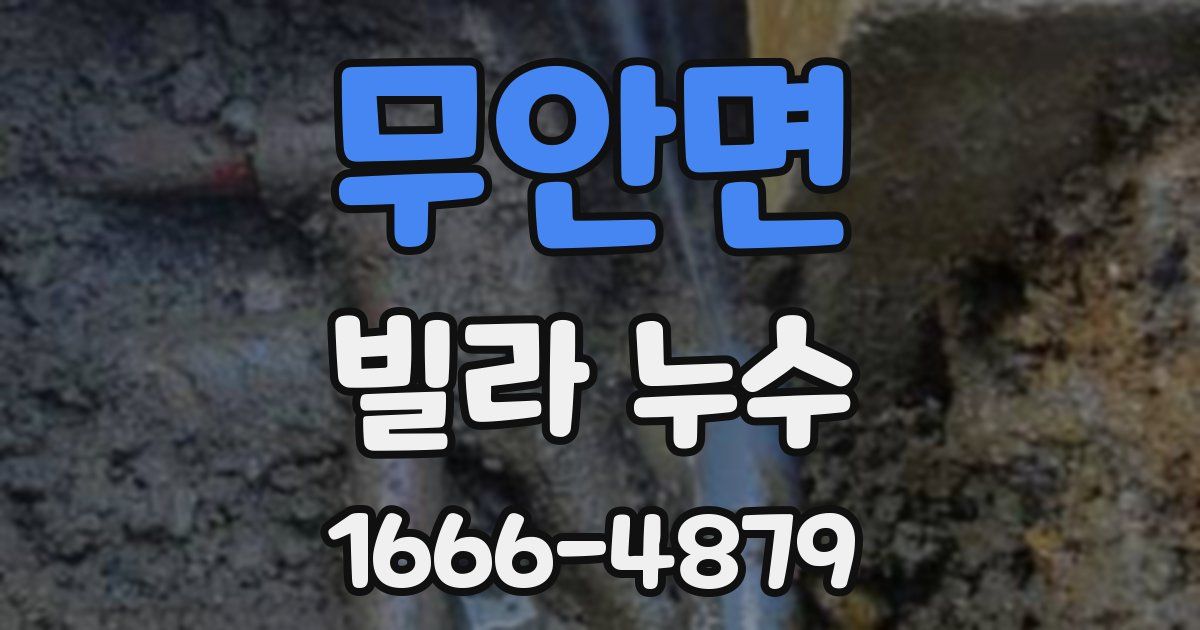 무안면 빌라 누수