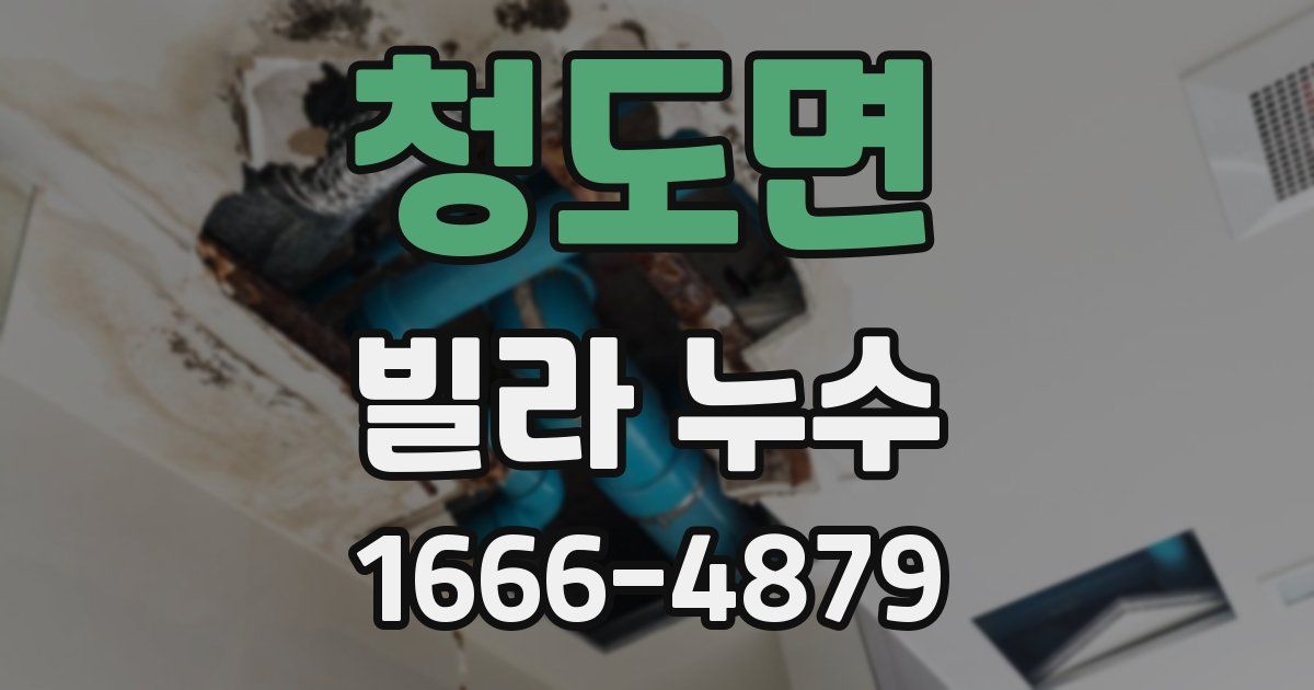 청도면 빌라 누수