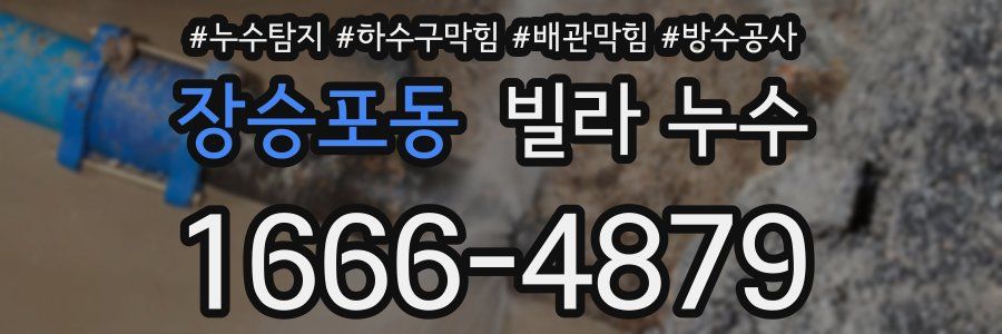 장승포동 빌라 누수