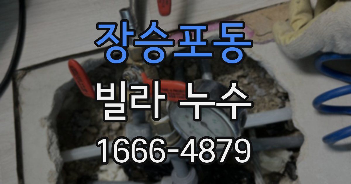 장승포동 빌라 누수