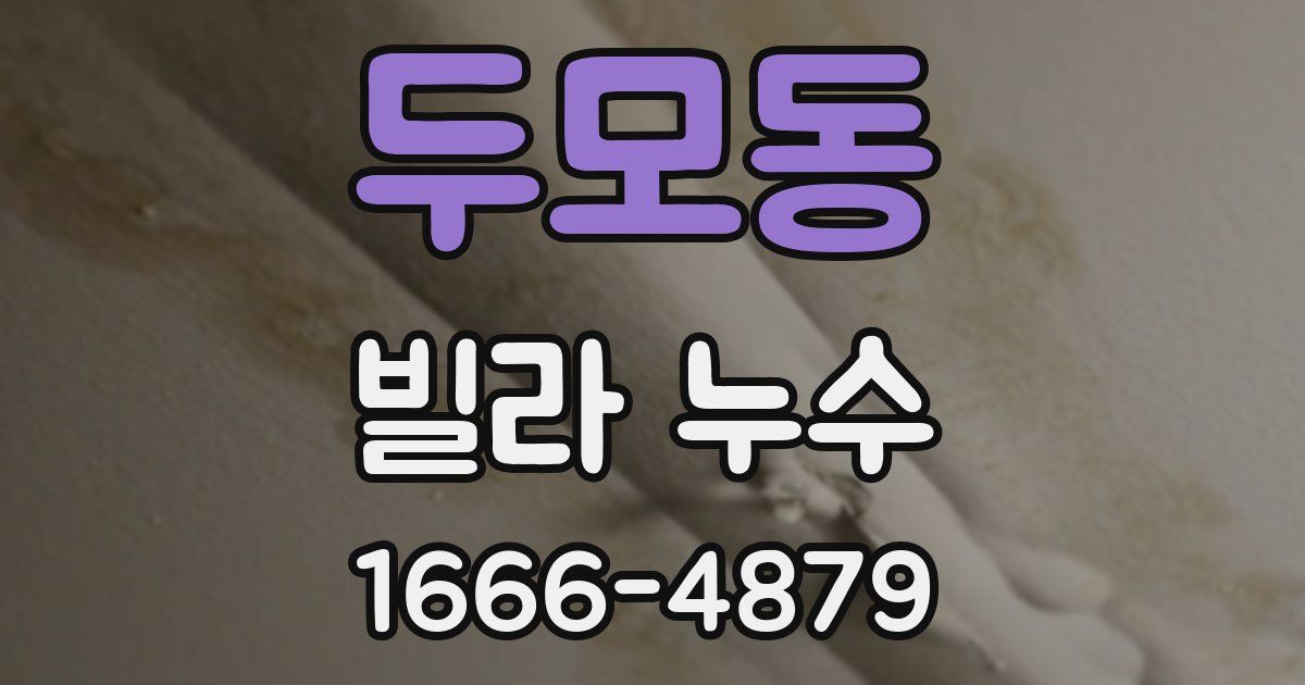 두모동 빌라 누수