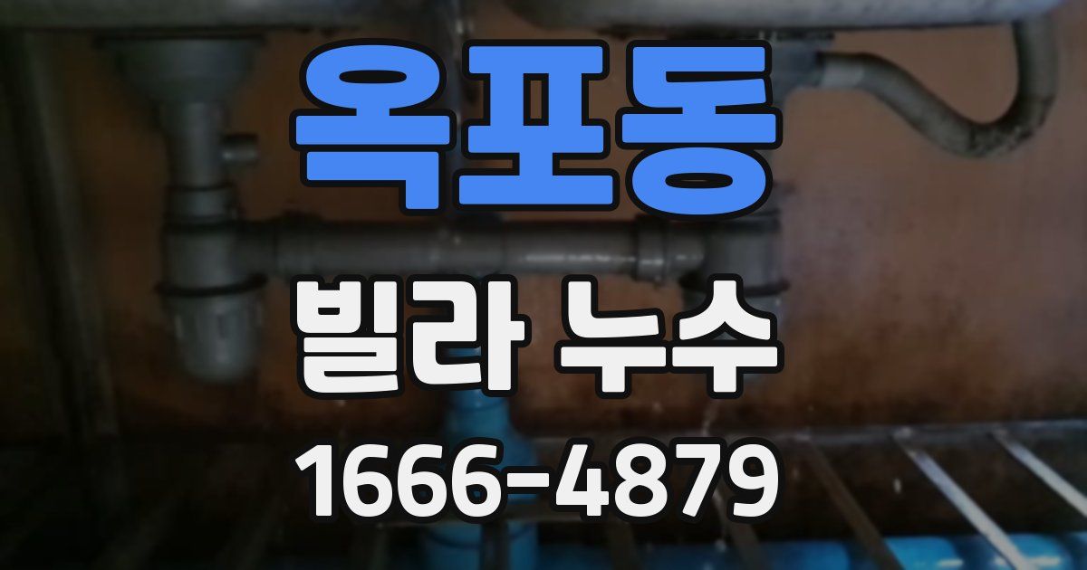 옥포동 빌라 누수