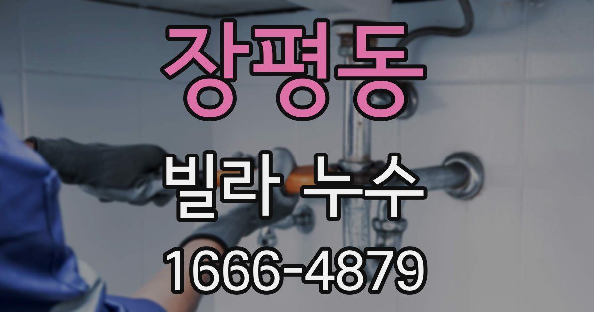 장평동 빌라 누수