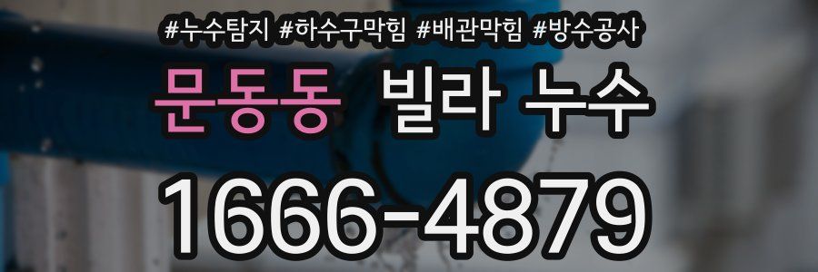 문동동 빌라 누수