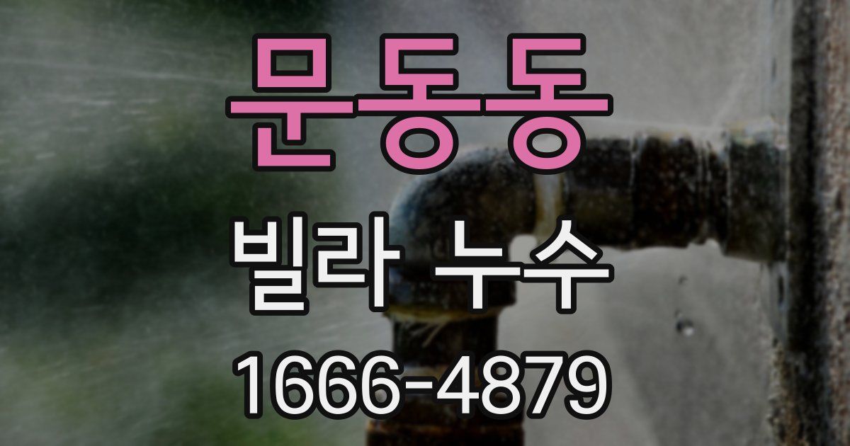 문동동 빌라 누수