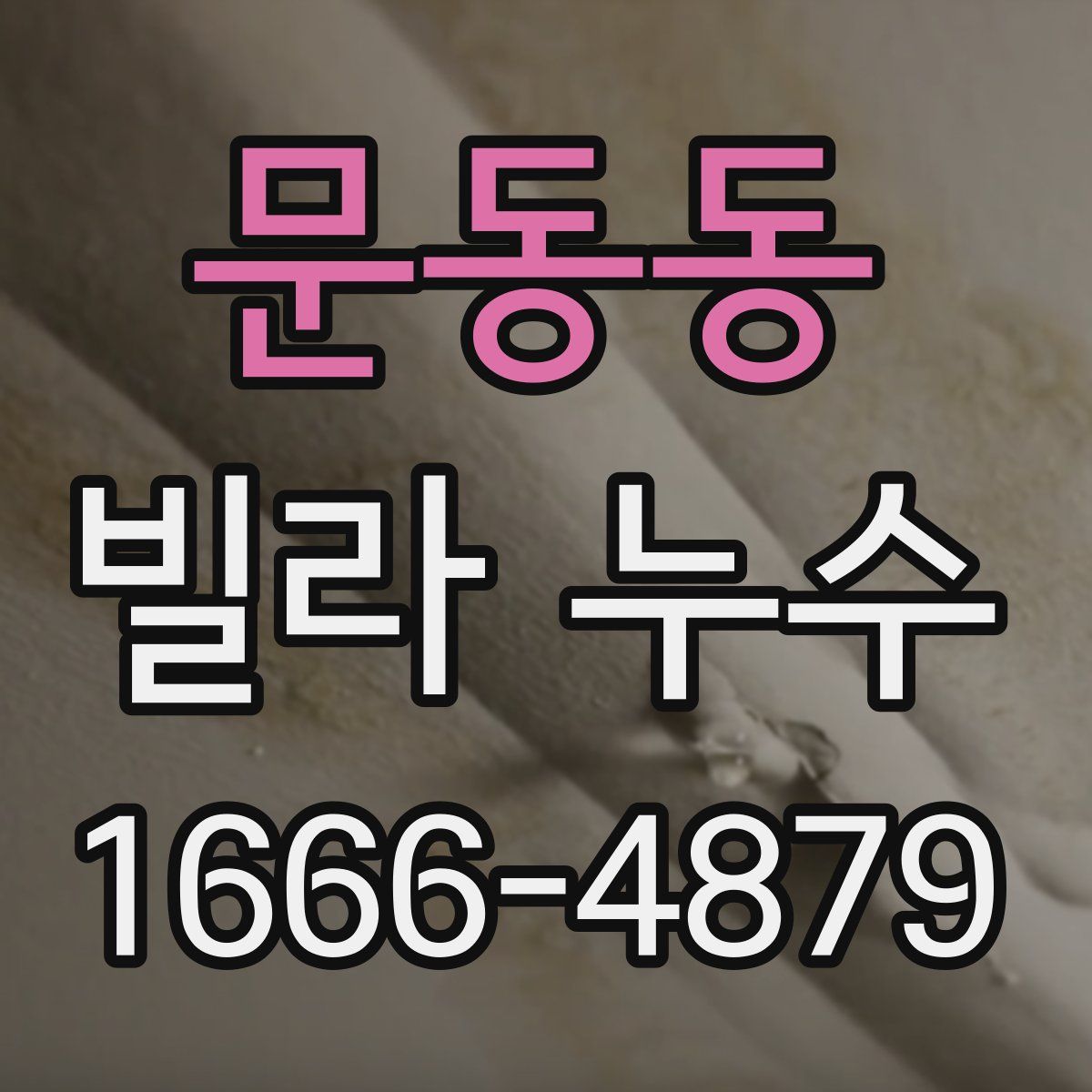 문동동 빌라 누수