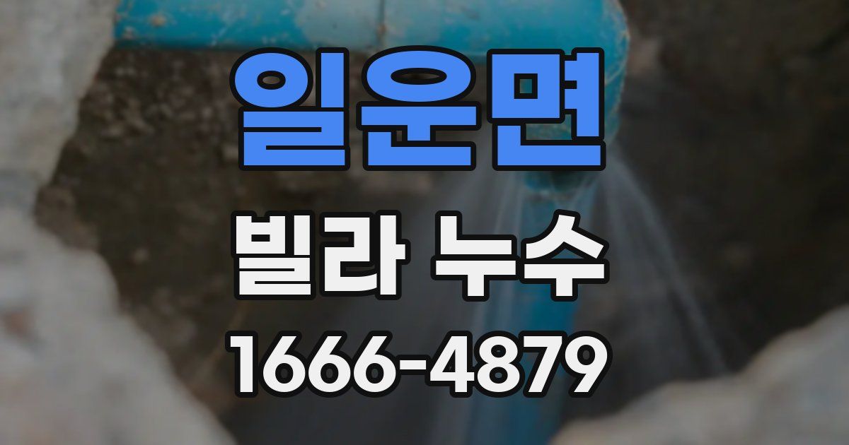 일운면 빌라 누수