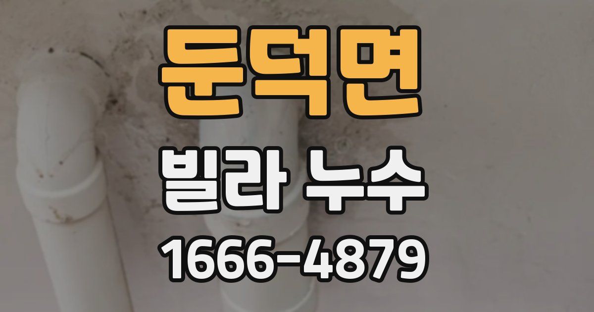 둔덕면 빌라 누수