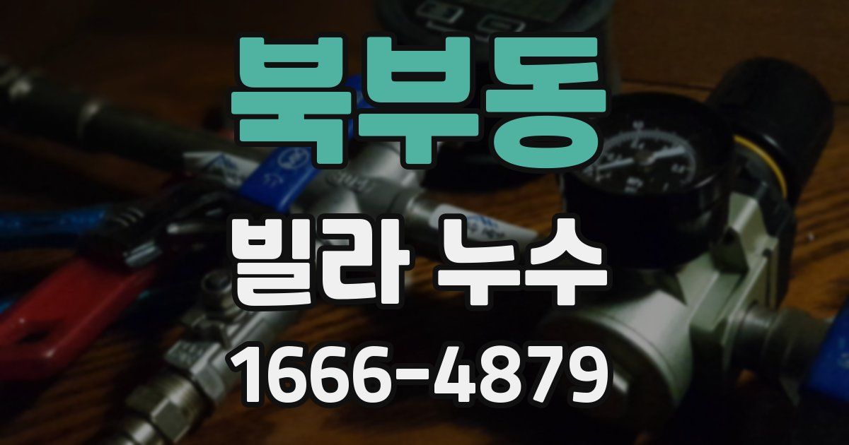 북부동 빌라 누수