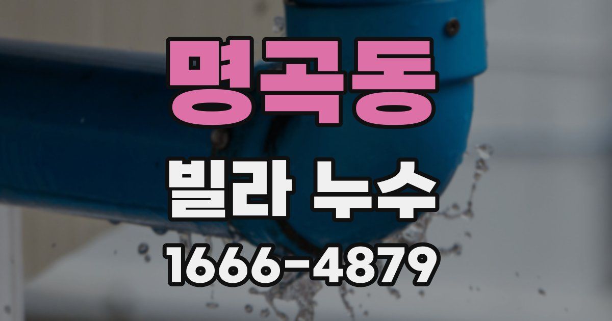 명곡동 빌라 누수