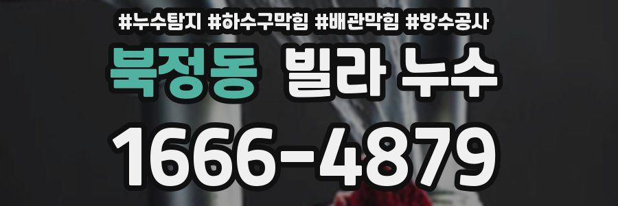 북정동 빌라 누수