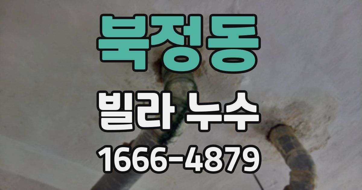 북정동 빌라 누수