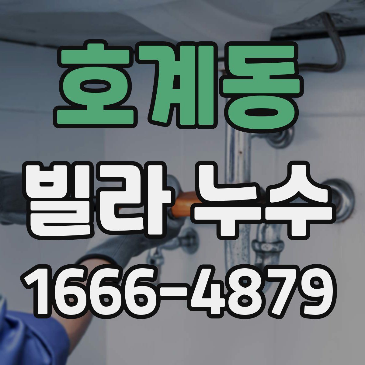 호계동 빌라 누수
