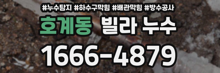 호계동 빌라 누수
