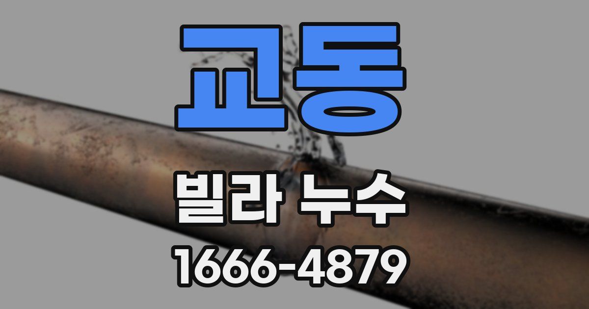 교동 빌라 누수