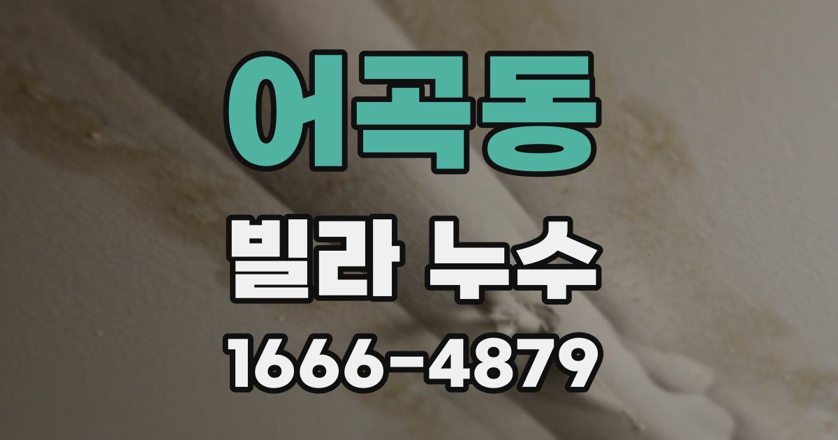 어곡동 빌라 누수
