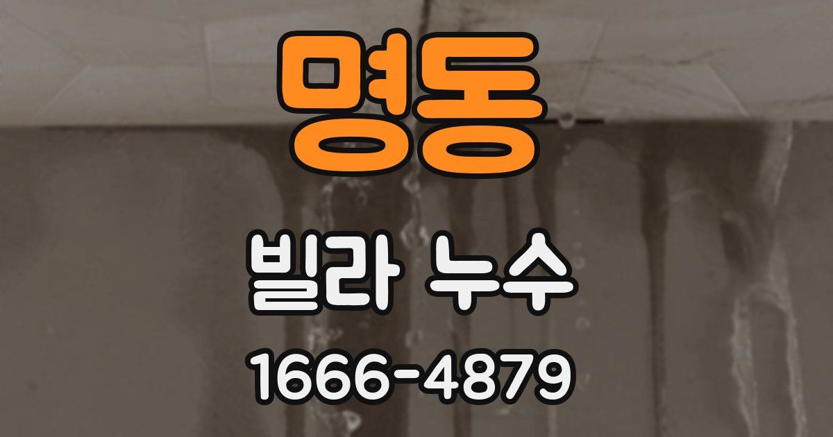 명동 빌라 누수